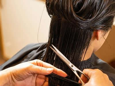 Cutting Hair: Women - Level 2 Certificate